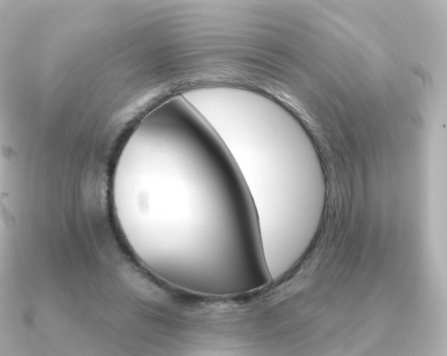 X0000091340446200708101022