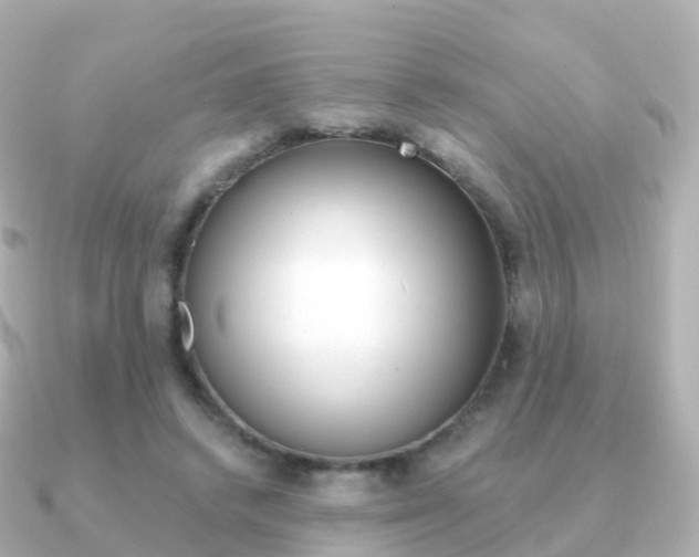 X0000091340448200708101022