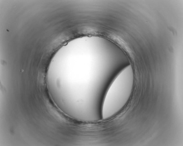 X0000091340449200708101022