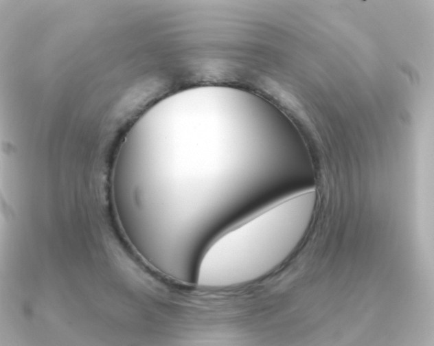 X0000091340450200708101022