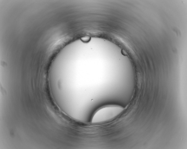 X0000091340451200708101022