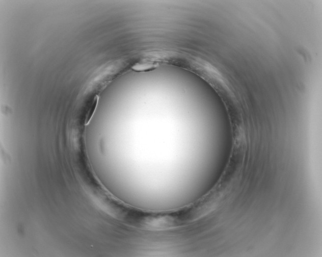 X0000091340452200708101022