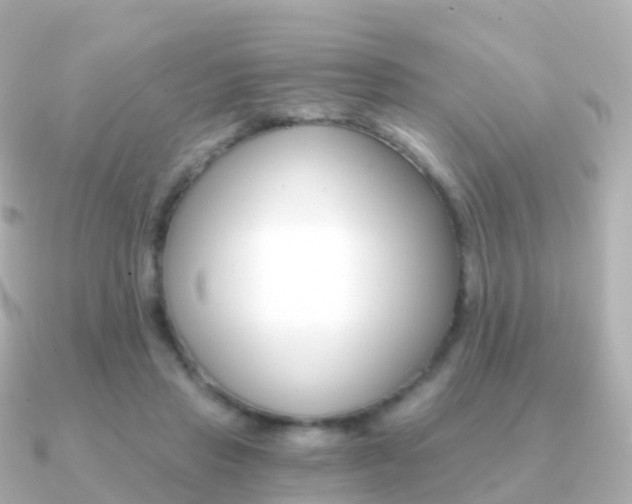 X0000091340453200708101022