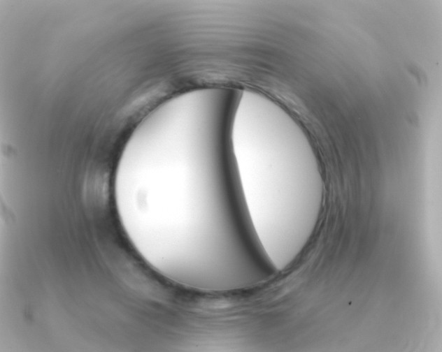 X0000091340454200708101022