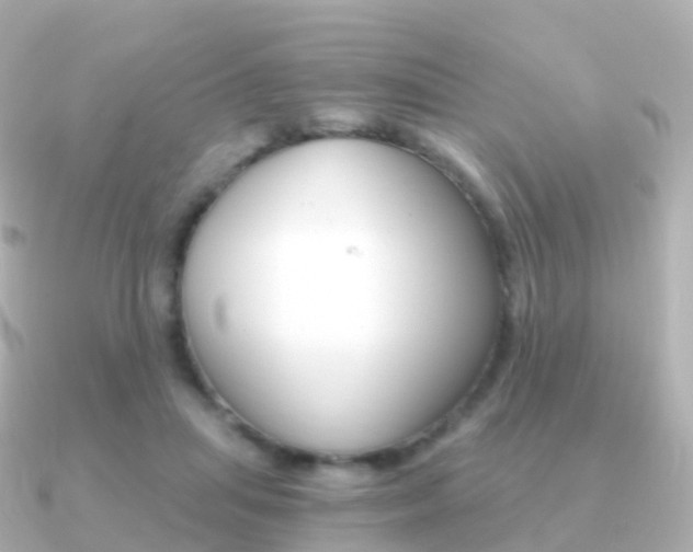 X0000091340455200708101022