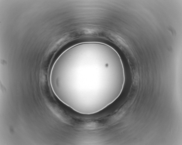 X0000091340456200708101022