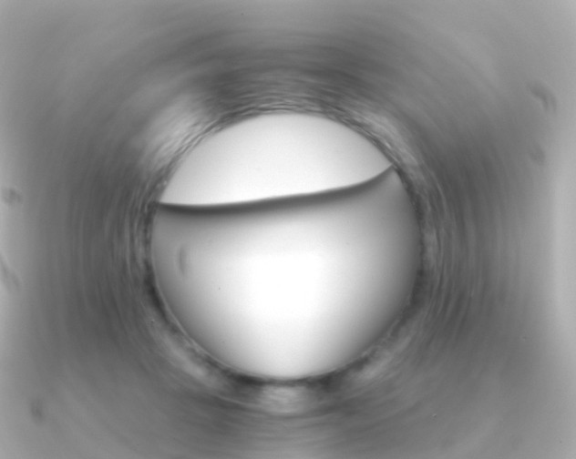 X0000091340457200708101022