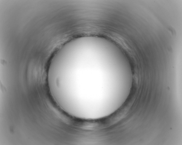 X0000091340458200708101022