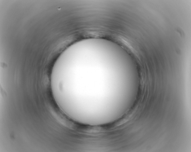 X0000091340459200708101022