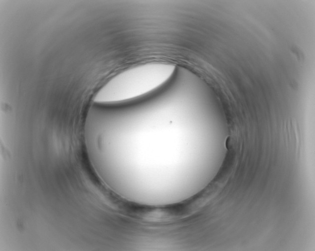 X0000091340460200708101022