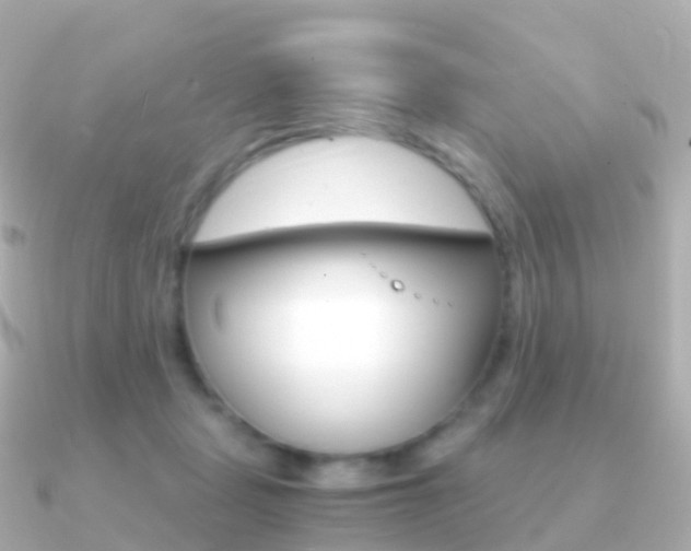 X0000091340461200708101022