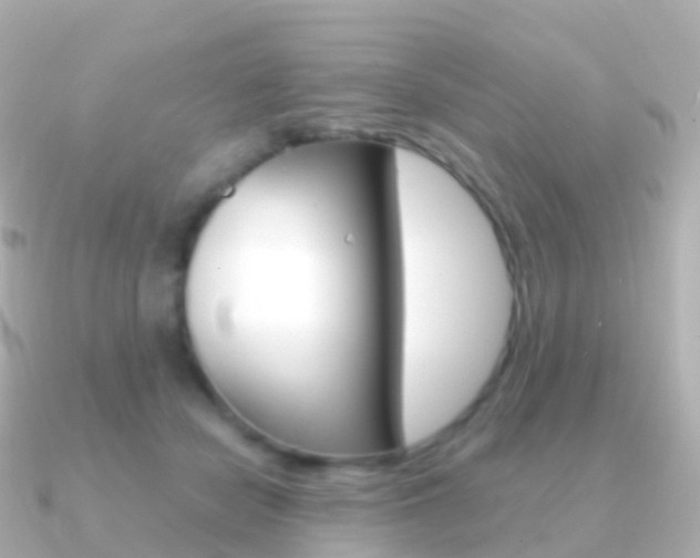 X0000091340462200708101022