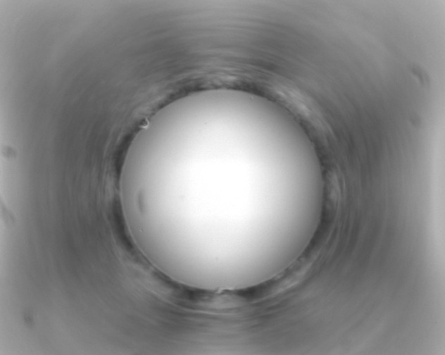 X0000091340463200708101022