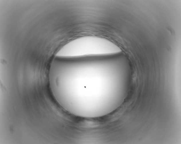X0000091340464200708101022