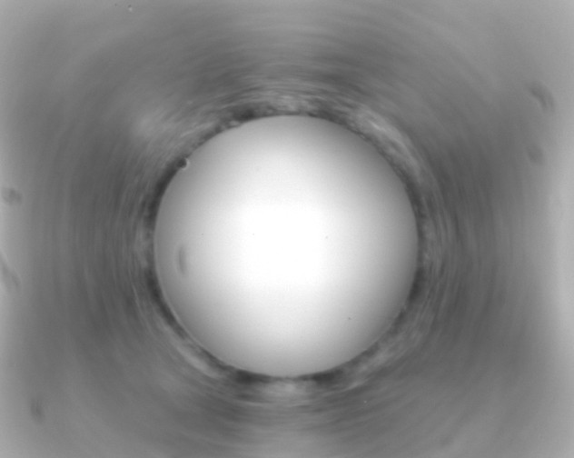 X0000091340465200708101022