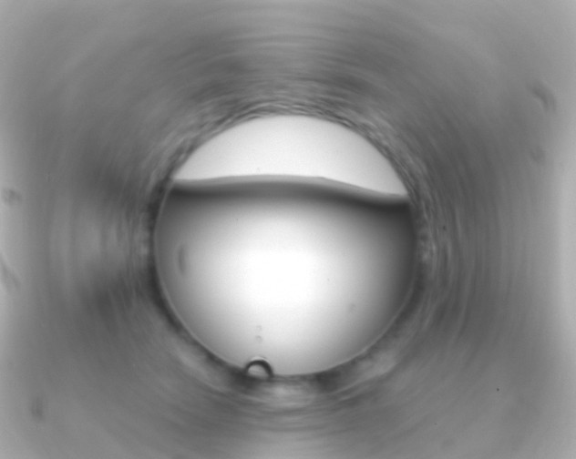X0000091340466200708101022