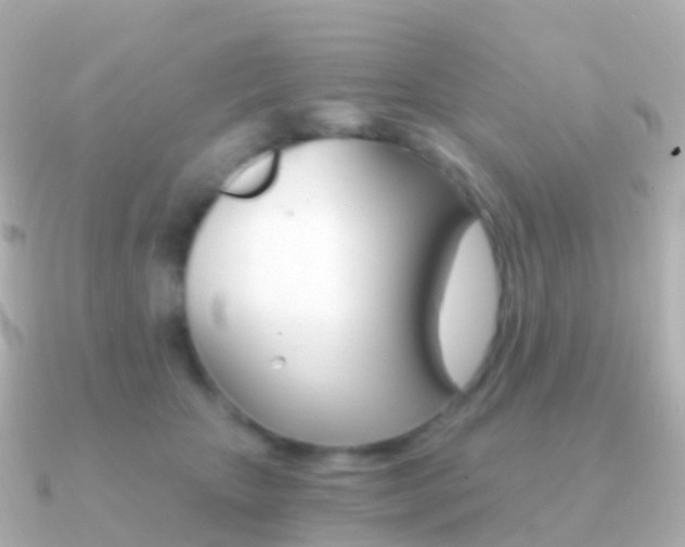 X0000091340467200708101022