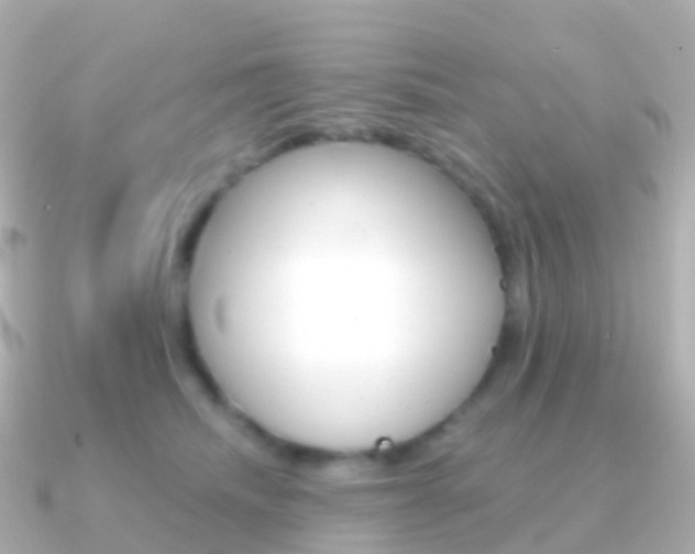 X0000091340468200708101022