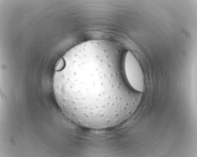 X0000091340469200708101022