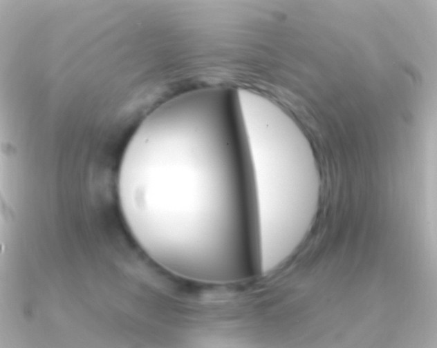 X0000091340470200708101022