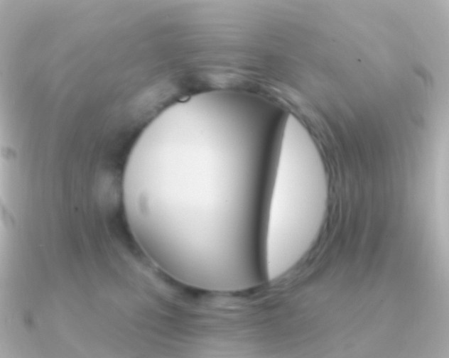 X0000091340471200708101022