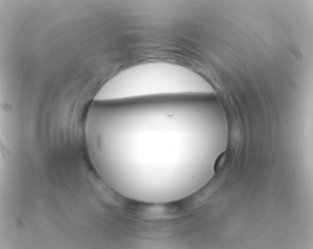 X0000091340473200708101022