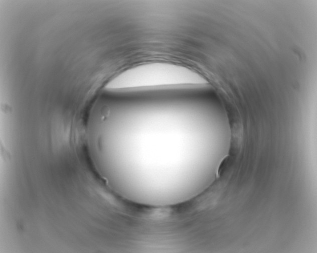 X0000091340474200708101022