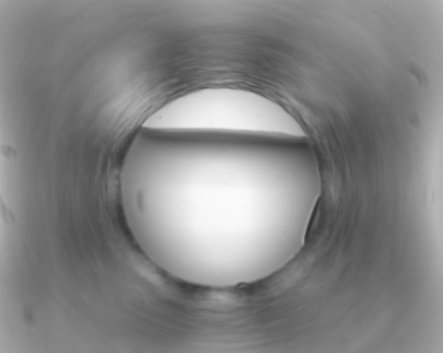X0000091340475200708101022