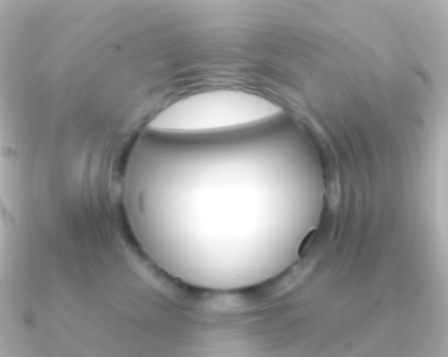X0000091340476200708101022