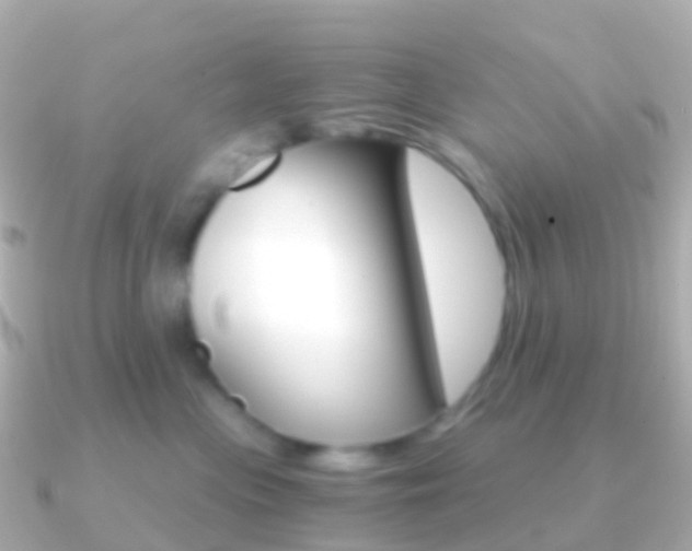 X0000091340477200708101022