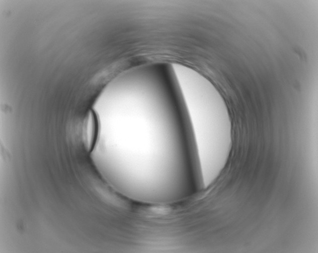 X0000091340478200708101022