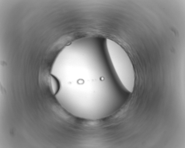 X0000091340479200708101022