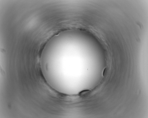 X0000091340480200708101022