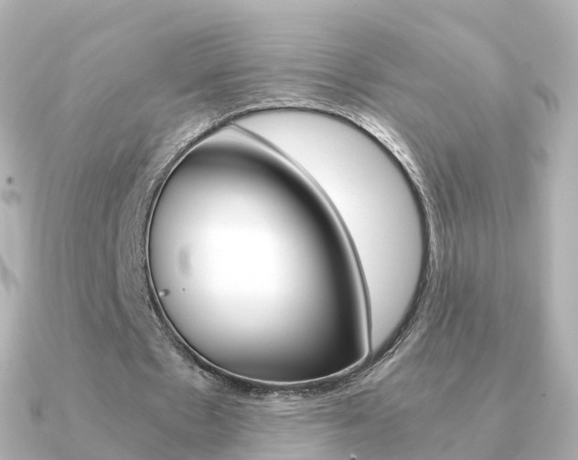 X0000091340481200708101022