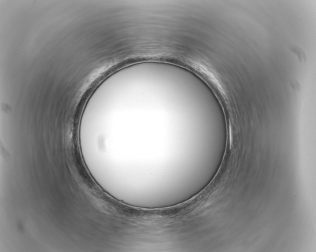 X0000091340483200708101022