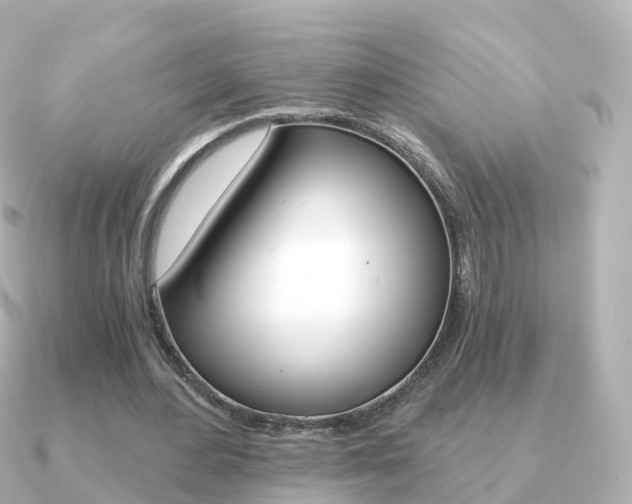 X0000091340484200708101022