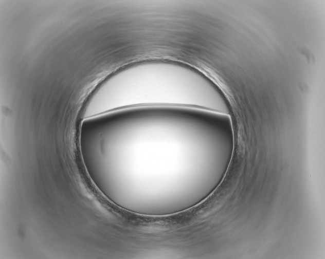 X0000091340485200708101022