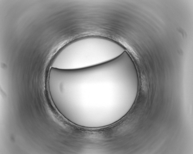 X0000091340486200708101022