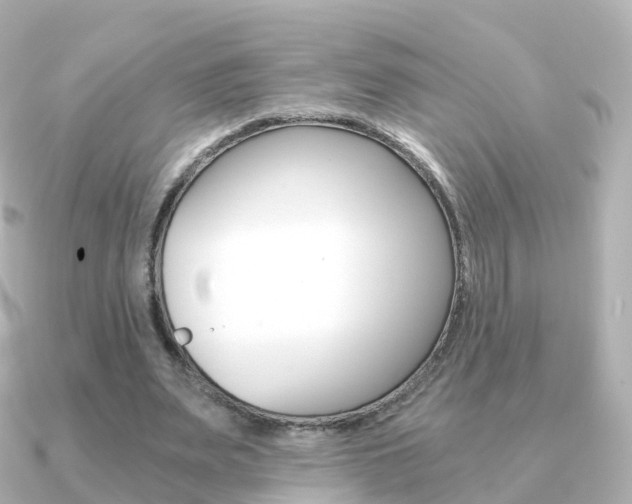 X0000091340487200708101022
