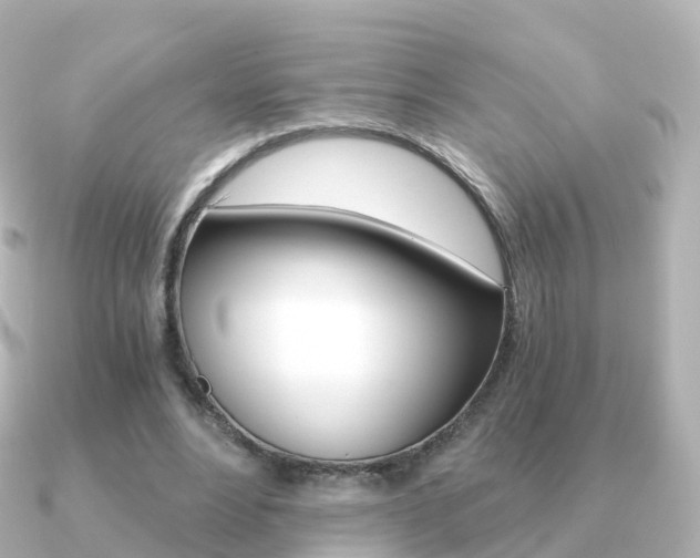 X0000091340488200708101022