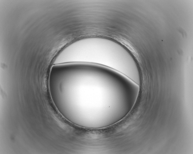 X0000091340489200708101022