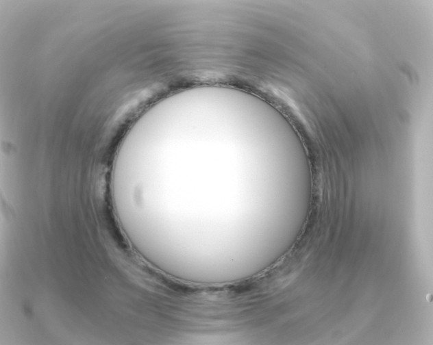 X0000091340495200708101022