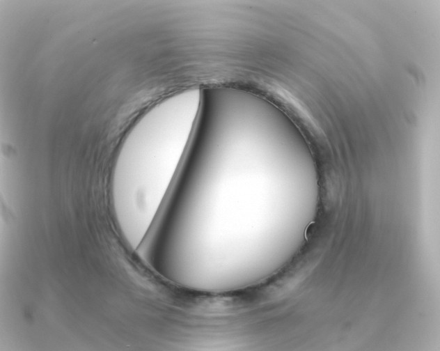 X0000091340497200708101022