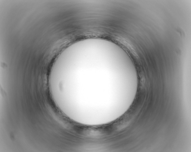 X0000091340498200708101022