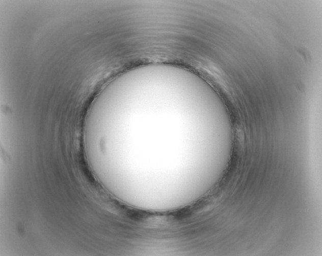 X0000091340499200708101022