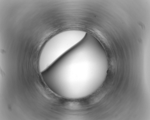 X0000091340500200708101022