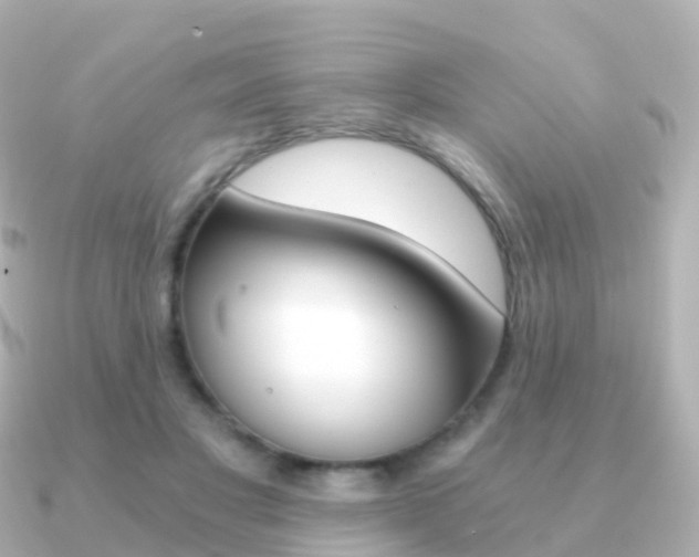 X0000091340501200708101022
