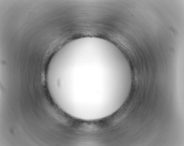X0000091340502200708101022