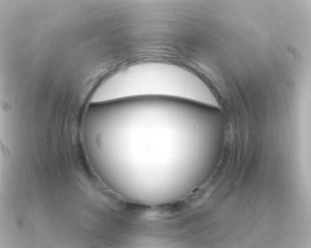 X0000091340504200708101022
