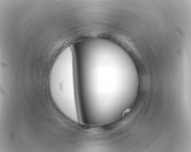 X0000091340505200708101022